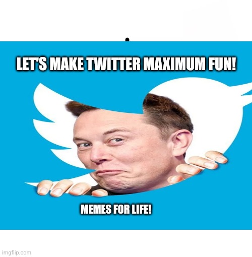 Elon Musk, Maximum fun! |  LET'S MAKE TWITTER MAXIMUM FUN! MEMES FOR LIFE! | image tagged in elon musk,memes | made w/ Imgflip meme maker