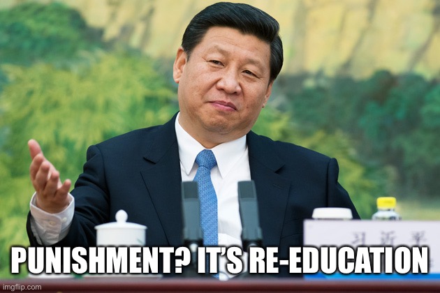 Xi Jinping | PUNISHMENT? IT’S RE-EDUCATION | image tagged in xi jinping | made w/ Imgflip meme maker