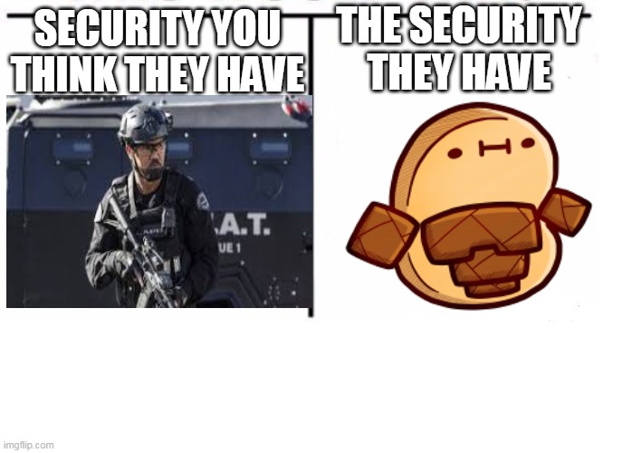 credit to srgafo for the image | THE SECURITY THEY HAVE; SECURITY YOU THINK THEY HAVE | image tagged in comparison table | made w/ Imgflip meme maker