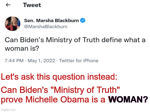 Would decades of deceit by a two term POTUS anger you? |  Let's ask this question instead:; Can Biden's "Ministry of Truth" prove Michelle Obama is a WOMAN? WOMAN? | image tagged in michelle obama,has a dick,ministry of truth my ass | made w/ Imgflip meme maker