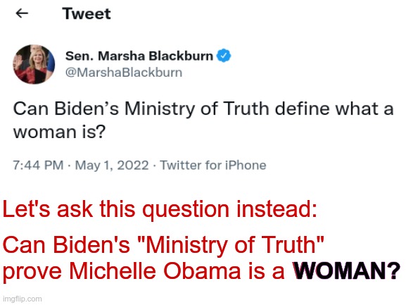 Would decades of deceit by a two term POTUS anger you? | Let's ask this question instead:; Can Biden's "Ministry of Truth" prove Michelle Obama is a WOMAN? WOMAN? | image tagged in michelle obama,has a dick,ministry of truth my ass | made w/ Imgflip meme maker