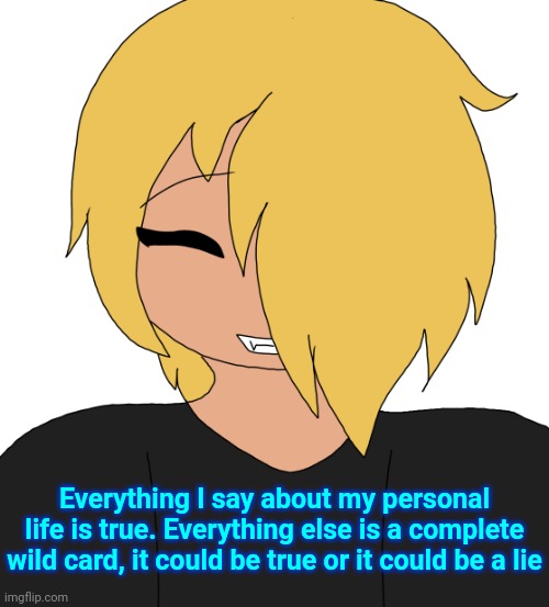 Spire smiling | Everything I say about my personal life is true. Everything else is a complete wild card, it could be true or it could be a lie | image tagged in spire smiling | made w/ Imgflip meme maker