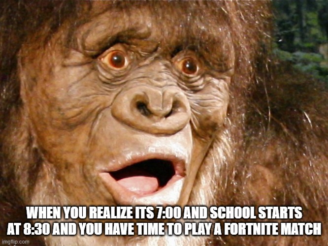 take that time | WHEN YOU REALIZE ITS 7:00 AND SCHOOL STARTS AT 8:30 AND YOU HAVE TIME TO PLAY A FORTNITE MATCH | image tagged in wow bigfoot | made w/ Imgflip meme maker