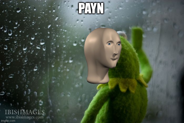 kermit window | PAYN | image tagged in kermit window | made w/ Imgflip meme maker