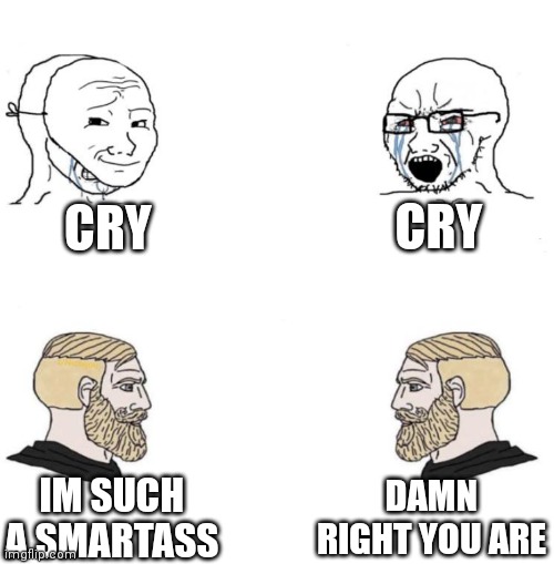 Chad we know | CRY CRY IM SUCH A SMARTASS DAMN RIGHT YOU ARE | image tagged in chad we know | made w/ Imgflip meme maker