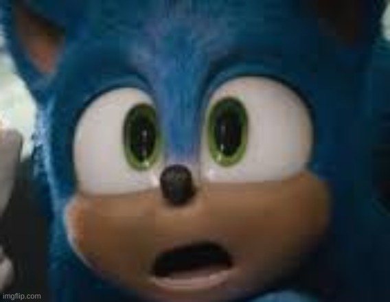 surprised sonic | image tagged in surprised sonic | made w/ Imgflip meme maker