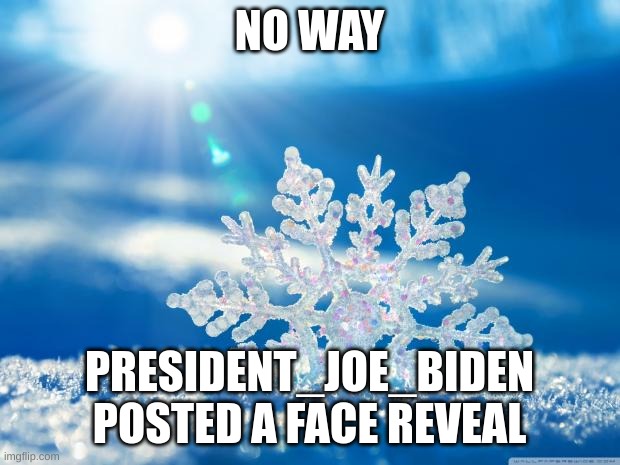 we all know how i feel about that thing | NO WAY; PRESIDENT_JOE_BIDEN POSTED A FACE REVEAL | image tagged in snowflake,president_joe_biden,face reveal | made w/ Imgflip meme maker
