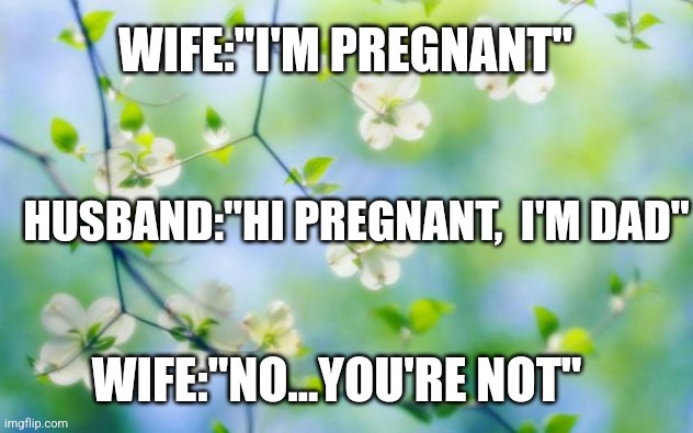 flowers | WIFE:"I'M PREGNANT"; HUSBAND:"HI PREGNANT,  I'M DAD"; WIFE:"NO...YOU'RE NOT" | image tagged in flowers | made w/ Imgflip meme maker