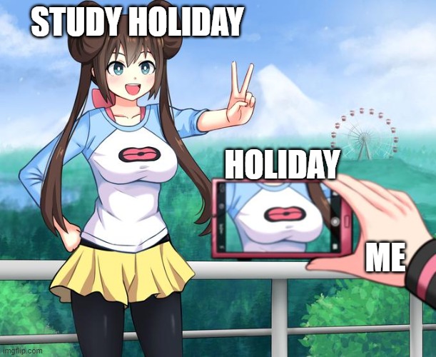 anime girl camera | STUDY HOLIDAY; HOLIDAY; ME | image tagged in anime girl camera | made w/ Imgflip meme maker