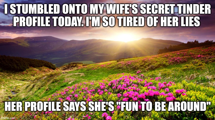 Field of Flowers | I STUMBLED ONTO MY WIFE'S SECRET TINDER PROFILE TODAY. I'M SO TIRED OF HER LIES; HER PROFILE SAYS SHE'S "FUN TO BE AROUND" | image tagged in field of flowers | made w/ Imgflip meme maker