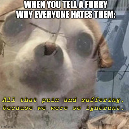 It has happened a couple of times | WHEN YOU TELL A FURRY WHY EVERYONE HATES THEM:; All that pain and suffering, because we were so ignorant. | image tagged in vietnam dog flashbacks | made w/ Imgflip meme maker