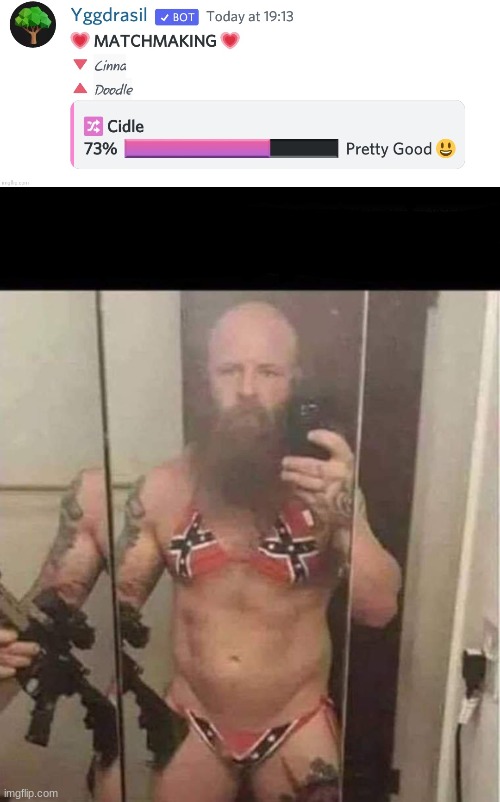 image tagged in confederate flag bikini man | made w/ Imgflip meme maker