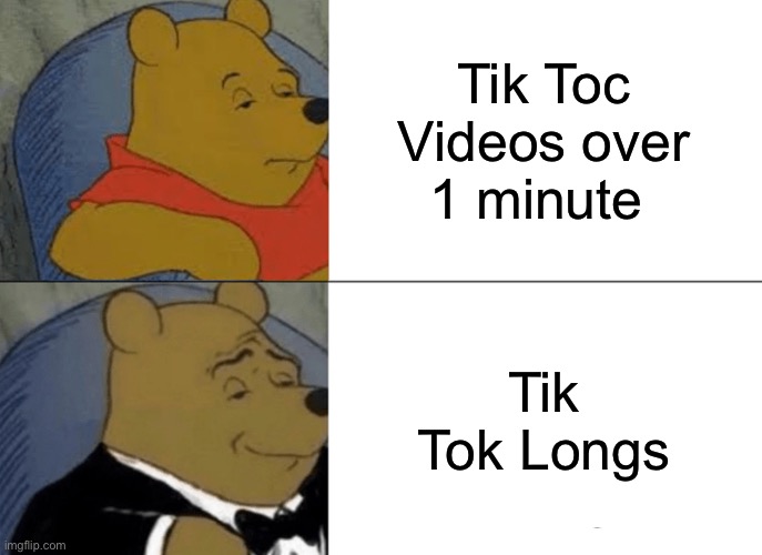 Tik Tok would basically be the bad version of YouTube, if they had these. | Tik Toc Videos over 1 minute; Tik Tok Longs | image tagged in memes,tuxedo winnie the pooh | made w/ Imgflip meme maker