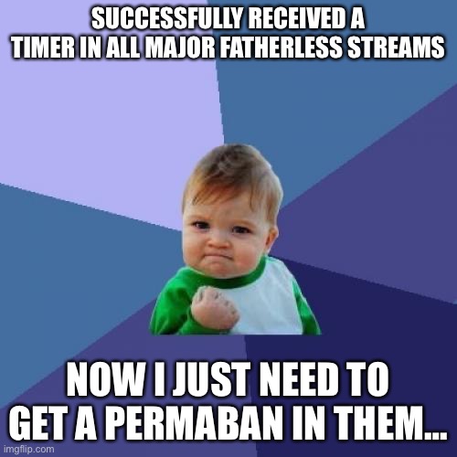 Haha follower plummet rates go brrr | SUCCESSFULLY RECEIVED A TIMER IN ALL MAJOR FATHERLESS STREAMS; NOW I JUST NEED TO GET A PERMABAN IN THEM… | image tagged in memes,success kid | made w/ Imgflip meme maker