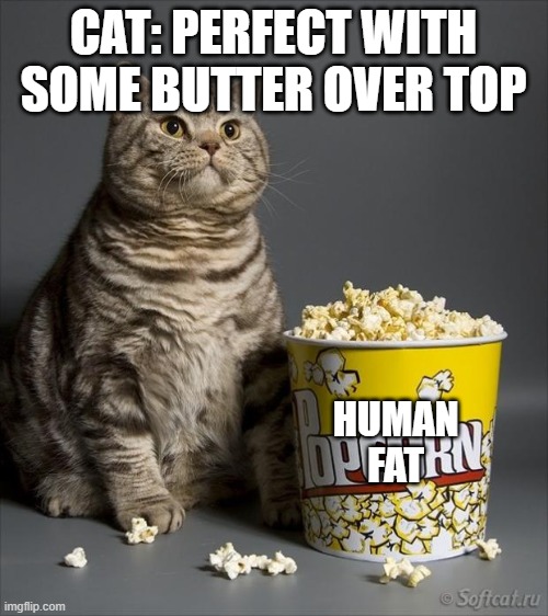 Cat eating popcorn | CAT: PERFECT WITH SOME BUTTER OVER TOP HUMAN FAT | image tagged in cat eating popcorn | made w/ Imgflip meme maker