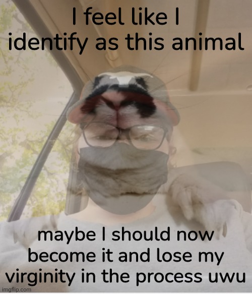 wow I'm so hilarious bro | I feel like I identify as this animal; maybe I should now become it and lose my virginity in the process uwu | made w/ Imgflip meme maker