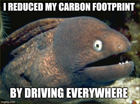 image tagged in funny memes | made w/ Imgflip meme maker