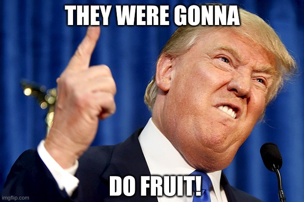 Donald Trump | THEY WERE GONNA DO FRUIT! | image tagged in donald trump | made w/ Imgflip meme maker