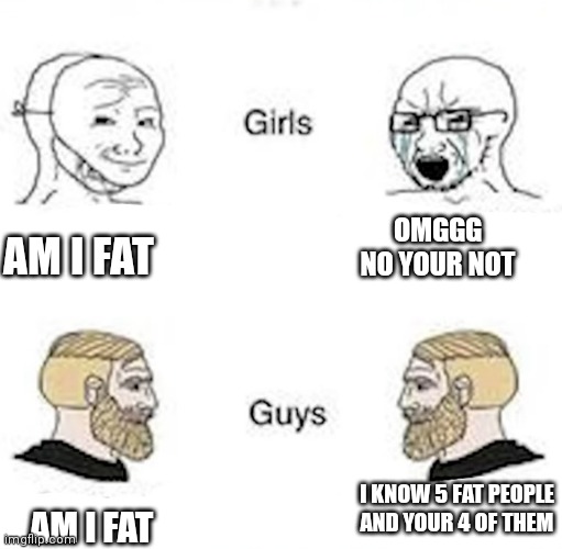 lol | OMGGG NO YOUR NOT; AM I FAT; I KNOW 5 FAT PEOPLE AND YOUR 4 OF THEM; AM I FAT | image tagged in guys vs girls meme | made w/ Imgflip meme maker