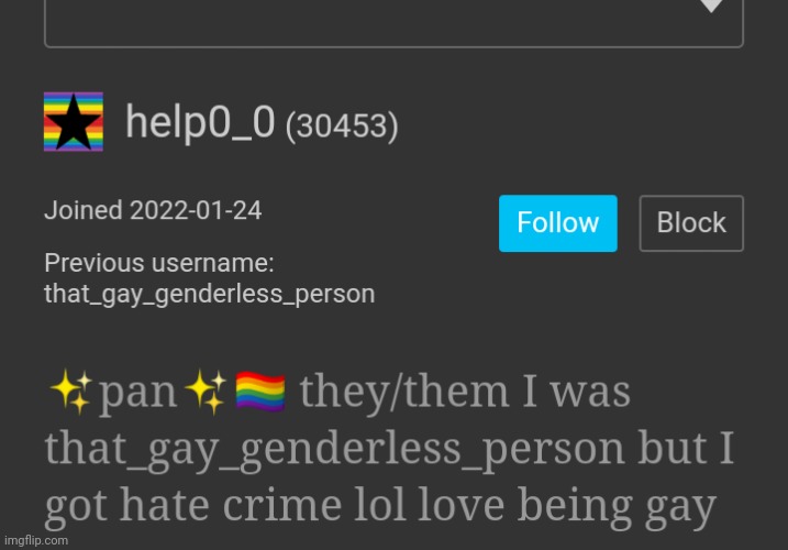✨pan✨?️‍? they/them I was that_gay_genderless_person but I got hate crime lol love being gay | made w/ Imgflip meme maker