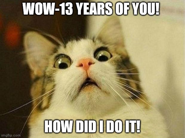 Scared Cat Meme | WOW-13 YEARS OF YOU! HOW DID I DO IT! | image tagged in memes,scared cat | made w/ Imgflip meme maker