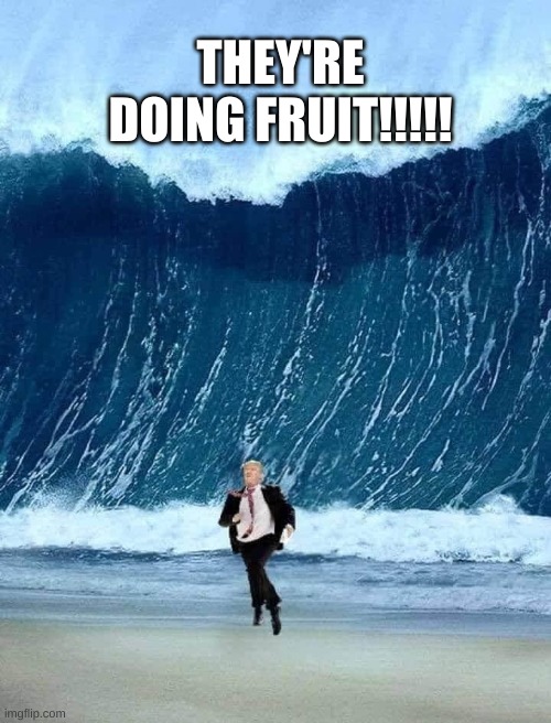Trump tsunami wave election run | THEY'RE DOING FRUIT!!!!! | image tagged in trump tsunami wave election run | made w/ Imgflip meme maker