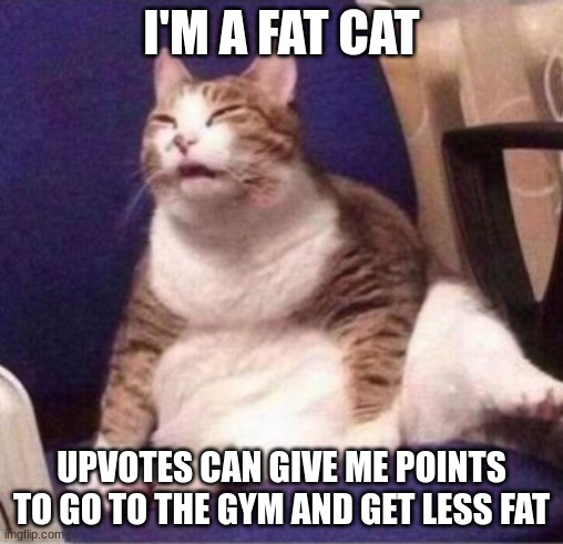 pls i need upvotes for points | I'M A FAT CAT; UPVOTES CAN GIVE ME POINTS TO GO TO THE GYM AND GET LESS FAT | image tagged in upvote begging | made w/ Imgflip meme maker
