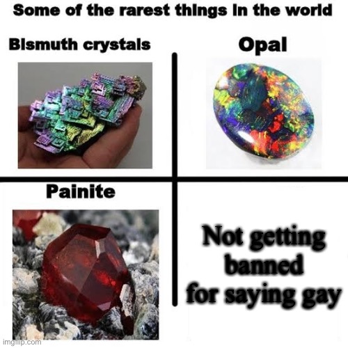 Some of the rarest things in the world | Not getting banned for saying gay | image tagged in some of the rarest things in the world | made w/ Imgflip meme maker