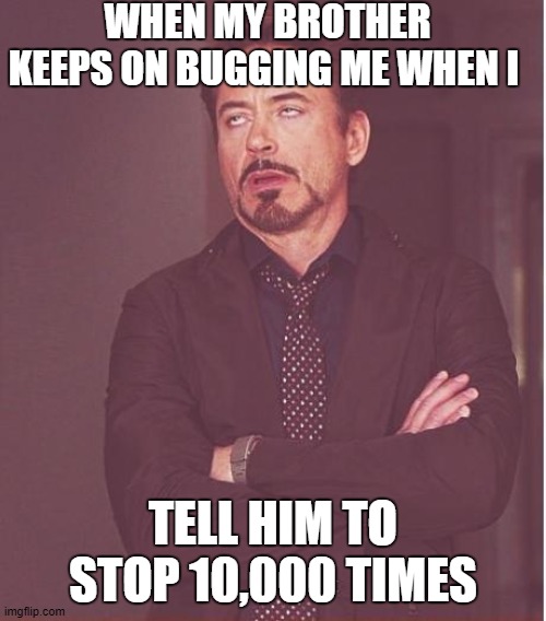 bros can be annoying |  WHEN MY BROTHER KEEPS ON BUGGING ME WHEN I; TELL HIM TO STOP 10,000 TIMES | image tagged in memes,face you make robert downey jr | made w/ Imgflip meme maker
