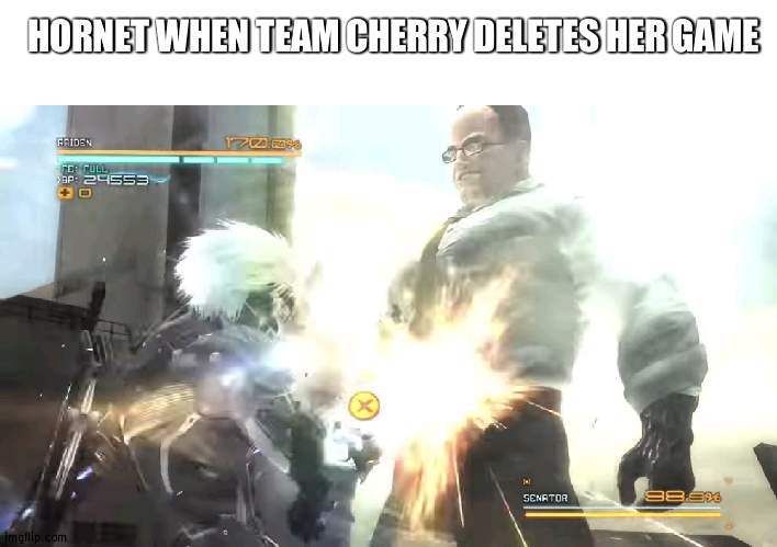 title | HORNET WHEN TEAM CHERRY DELETES HER GAME | made w/ Imgflip meme maker