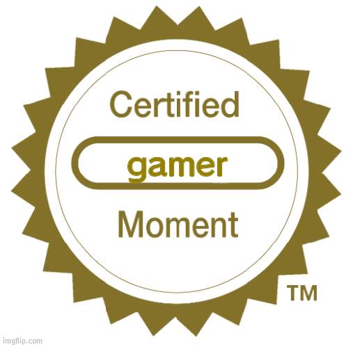 Certified Blank Moment | gamer | image tagged in certified blank moment | made w/ Imgflip meme maker