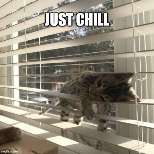 Blend and chill...  these days 9 lives will last longer | JUST CHILL | image tagged in chill out | made w/ Imgflip meme maker