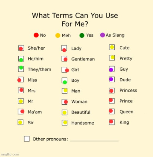 Pronouns Sheet | image tagged in pronouns sheet | made w/ Imgflip meme maker