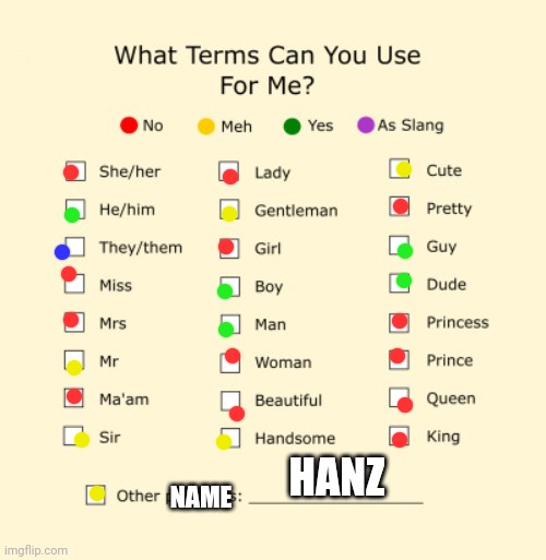 Eh why not | HANZ; NAME | image tagged in pronouns sheet | made w/ Imgflip meme maker