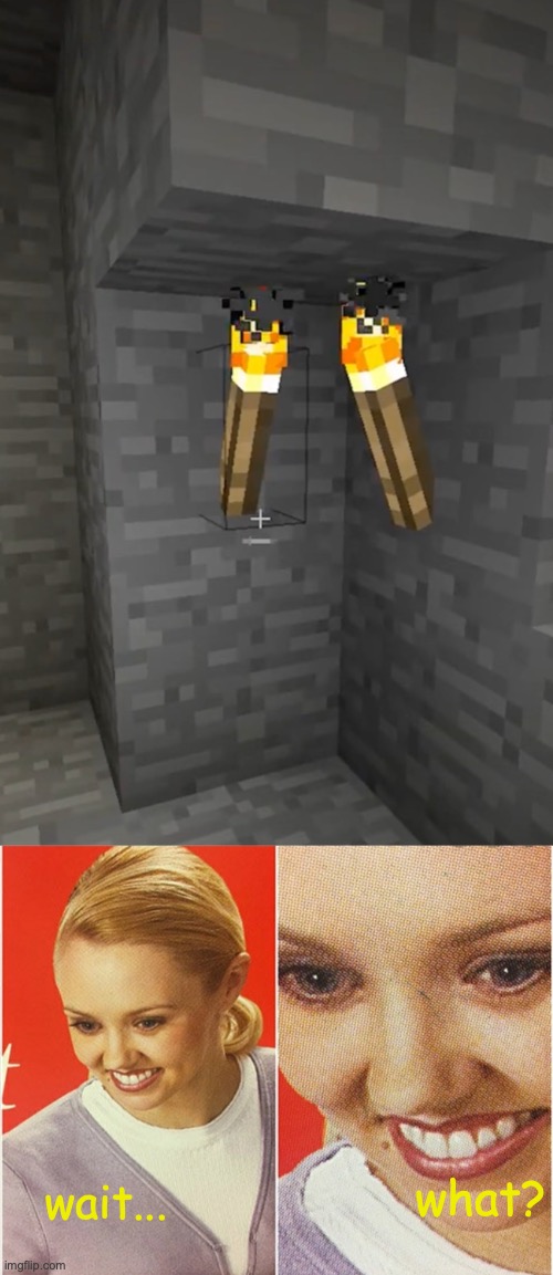 how did this happen | what? wait... | image tagged in wait what,funny,memes,fun,minecraft | made w/ Imgflip meme maker