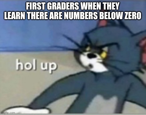 Hol up | FIRST GRADERS WHEN THEY LEARN THERE ARE NUMBERS BELOW ZERO | image tagged in hol up | made w/ Imgflip meme maker