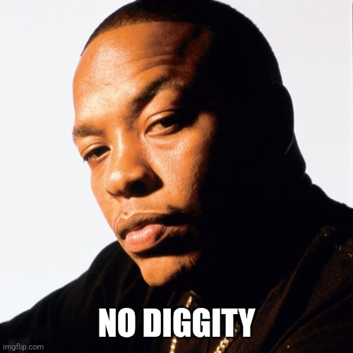 NO DIGGITY | image tagged in dr dre | made w/ Imgflip meme maker