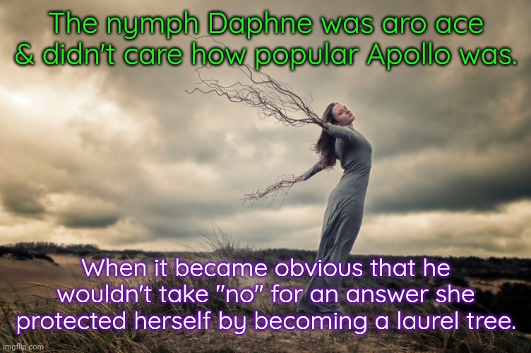 Even gods don't always get what they want. | The nymph Daphne was aro ace & didn't care how popular Apollo was. When it became obvious that he wouldn't take "no" for an answer she protected herself by becoming a laurel tree. | image tagged in pagan goddess,greek mythology,stalking,sexual harassment,tragedy | made w/ Imgflip meme maker