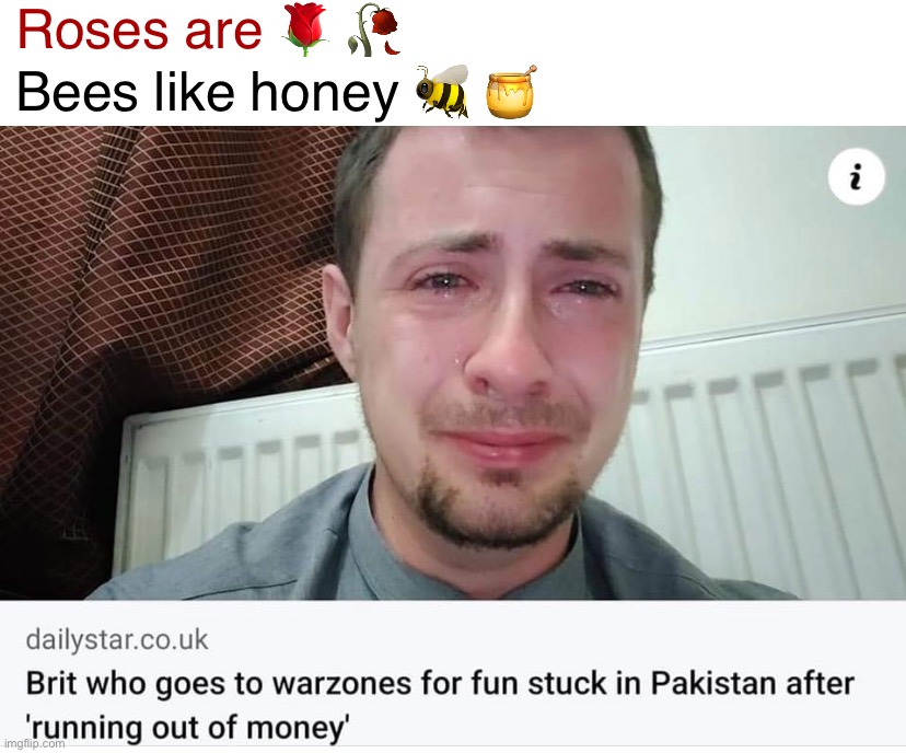 Anglophobia | Roses are 🌹 🥀; Bees like honey 🐝 🍯 | image tagged in an,glo,pho,bi,a,anglophobia | made w/ Imgflip meme maker