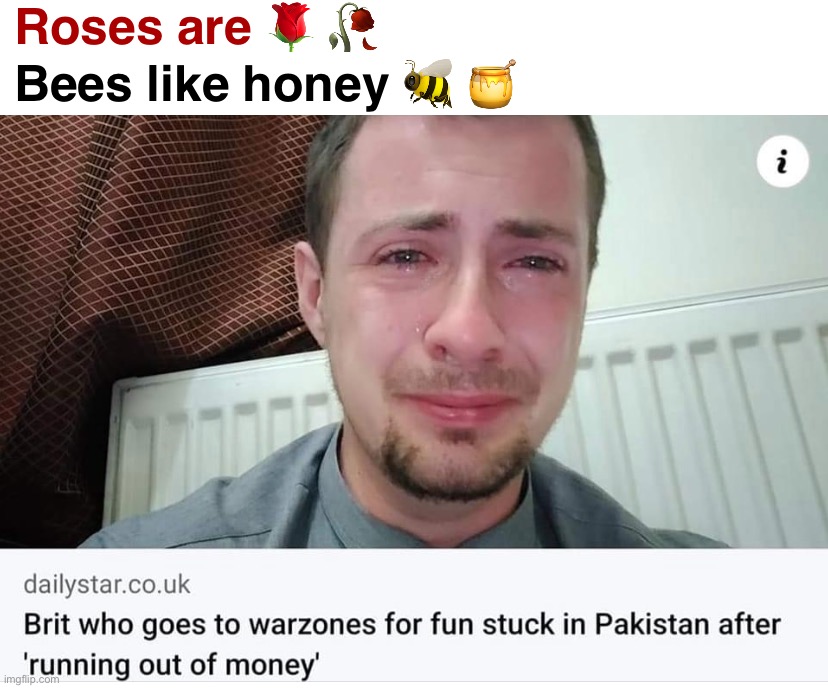Oof | Roses are 🌹 🥀; Bees like honey 🐝 🍯 | image tagged in brit in warzone for fun,brit,in,warzone,roses are red,roses are red violets are blue | made w/ Imgflip meme maker