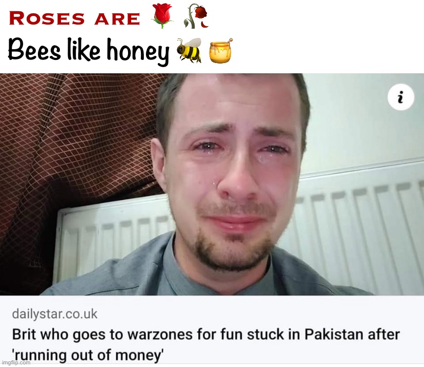 Oof |  Roses are 🌹 🥀; Bees like honey 🐝 🍯 | image tagged in brit in warzone for fun,anglophobia,british,british people,warzones,white people | made w/ Imgflip meme maker