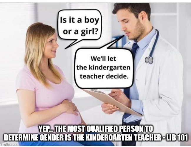 Liberal lunacy | YEP... THE MOST QUALIFIED PERSON TO DETERMINE GENDER IS THE KINDERGARTEN TEACHER - LIB 101 | image tagged in liberal logic | made w/ Imgflip meme maker