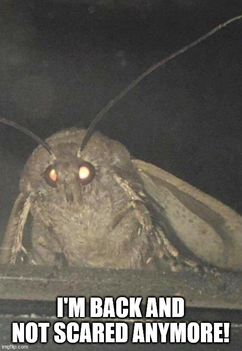 Moth | I'M BACK AND NOT SCARED ANYMORE! | image tagged in moth | made w/ Imgflip meme maker