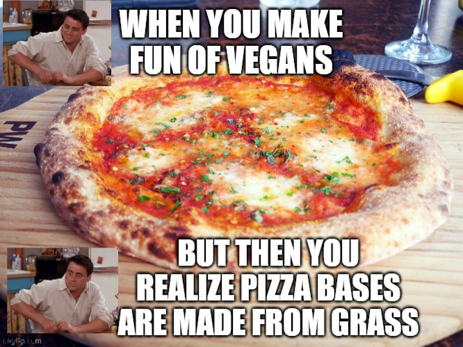 Making fun of vegans | image tagged in vegan,pizza | made w/ Imgflip meme maker