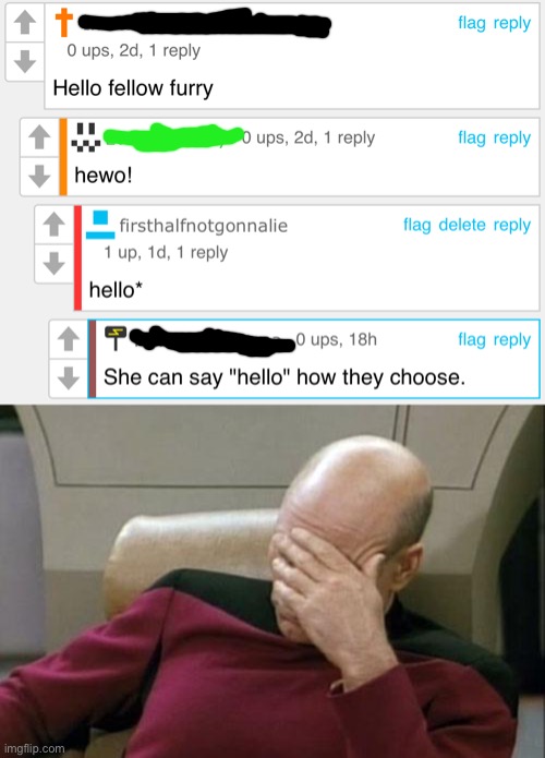 “‘She’ can say hello how ‘they’ choose.” Epic grammar fail in every single way | image tagged in memes,captain picard facepalm | made w/ Imgflip meme maker
