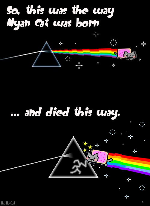 the nyan cat of the moon | image tagged in pink floyd,music,nyan cat,dark side of the moon | made w/ Imgflip meme maker
