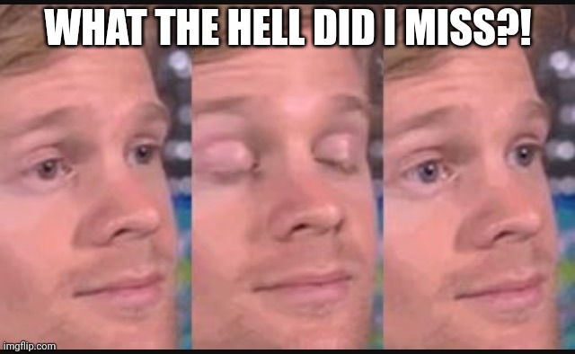Blinking guy | WHAT THE HELL DID I MISS?! | image tagged in blinking guy | made w/ Imgflip meme maker
