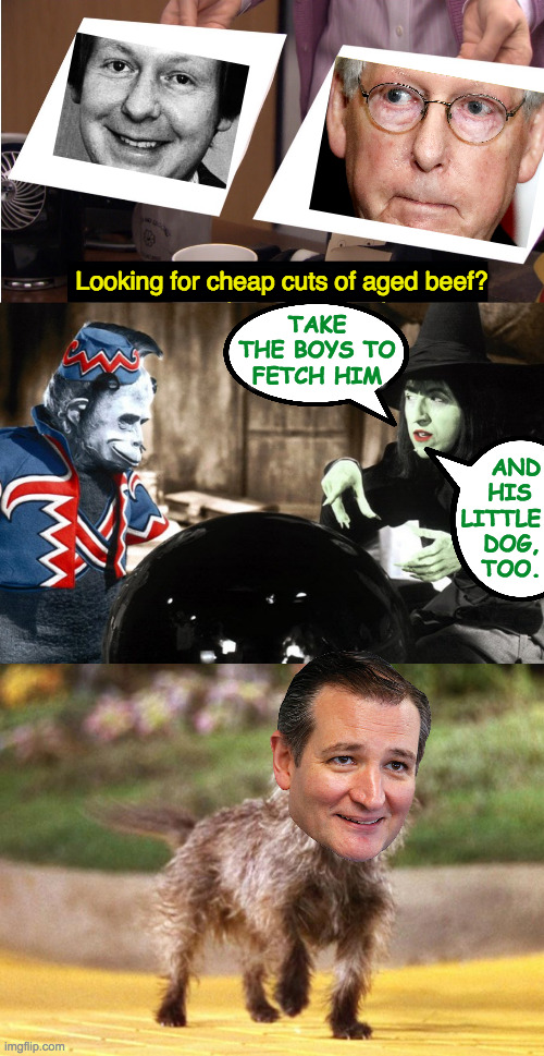 Shopping from home is so nice. | Looking for cheap cuts of aged beef? AND
HIS 
LITTLE
DOG,
TOO. TAKE
THE BOYS TO
FETCH HIM | image tagged in memes,they're the same picture,mitch mcconnell,ted cruz,a manwich is a meal,feeding an army on a budget | made w/ Imgflip meme maker