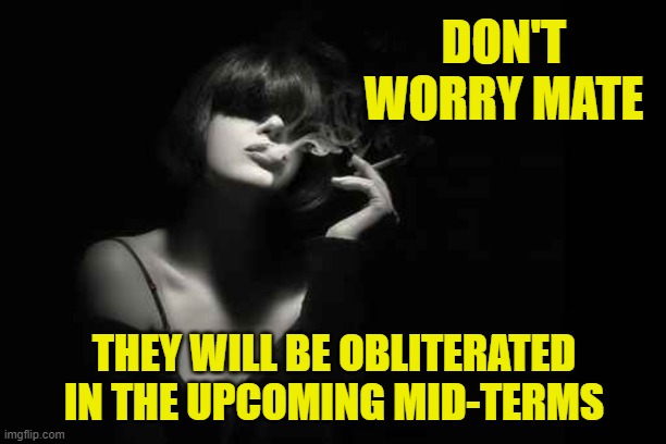 DON'T WORRY MATE THEY WILL BE OBLITERATED IN THE UPCOMING MID-TERMS | made w/ Imgflip meme maker