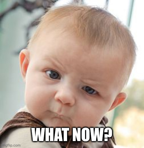 Skeptical Baby Meme | WHAT NOW? | image tagged in memes,skeptical baby | made w/ Imgflip meme maker